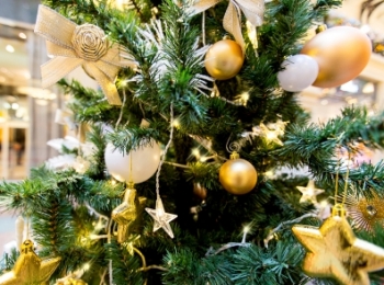 В украинской деревне установили новогоднюю елку за $7,5 тысячи