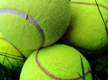 В финале Australian Open сразятся Надаль и Федерер