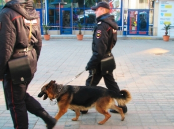 Ленинградский рынок в Москве эвакуировали после сообщения о бомбе