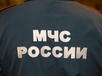 Сотрудники МЧС спасли двух человек при пожаре в Москве