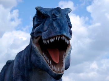 Следы гигантских динозавров нашли на юге Китая