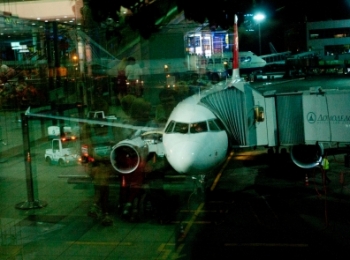Самолет, вылетевший в Калининград, вернулся во «Внуково» из-за погоды