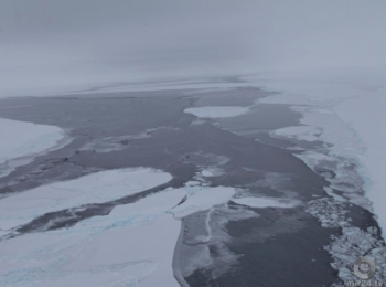 Вне опасности: британскую станцию в Антарктиде оттащили от трещины